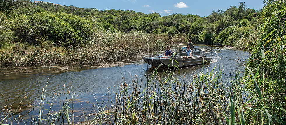 Garden Route, Kariega Game Reserve, Kariega Settlers Drift Lodge, Südafrika, Safari