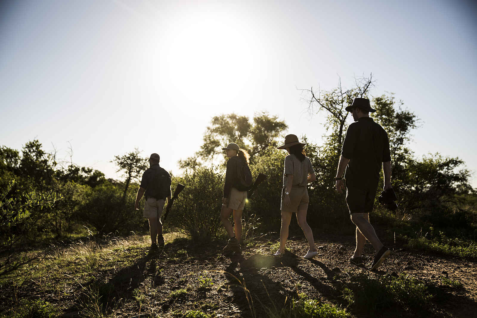Marataba Safari Lodge: Walking Safari in der Abendsonne Marataba Safari Lodge: Walking Safari in der Abendsonne