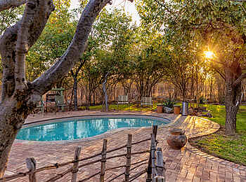 Taleni Etosha Village: Der Pool in grüner Umgebung Taleni Etosha Village: Der Pool in grüner Umgebung