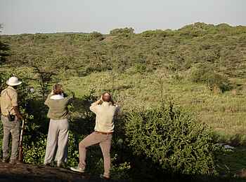 Charlie Serengeti Safari Camp: Blick auf Giraffe