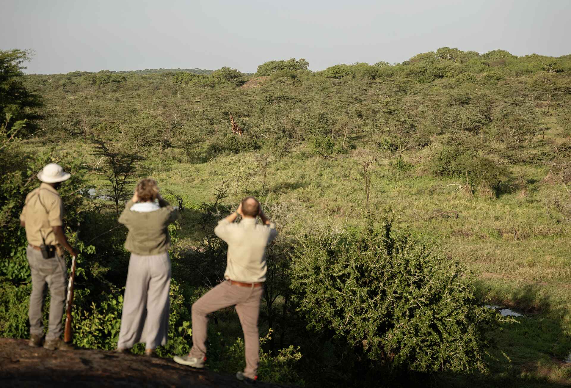 Charlie Serengeti Safari Camp: Blick auf Giraffe