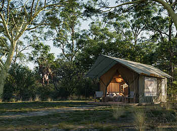 Chicari Camp: Blick auf ein Gästezelt Chicari Camp: Blick auf ein Gästezelt