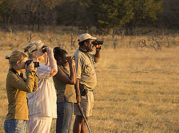 Ivory Lodge: Walking Safari Ivory Lodge: Walking Safari