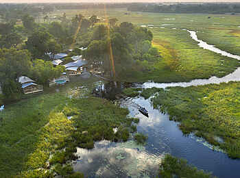 Khwai Leadwood: Gesamtansicht 