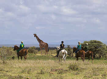Loisaba Lodo Springs: Reitsafari