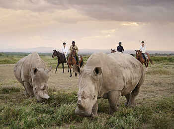 Sanctuary Tambarare Lodge: Reitsafari Sanctuary Tambarare Lodge: Reitsafari