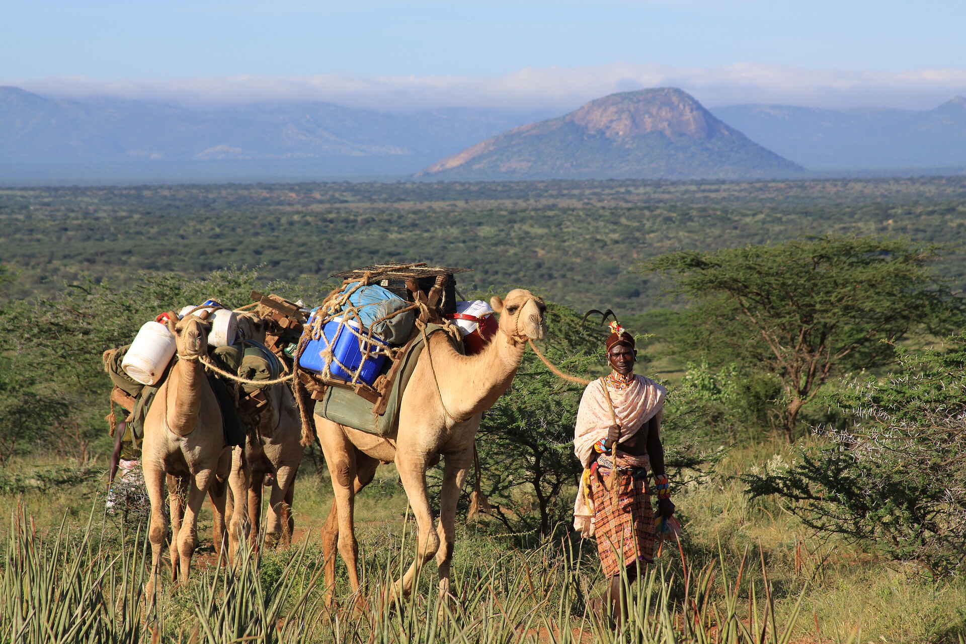 bush & beyond, namunyak wildlife conservation trust, sarara, gepäck, kamele, afrikarma, afrikarma safaris, afrikarma safaris - wildnis. hautnah., afrikarma.de, ankleidebereich, badezimmer, Jeremy Bastard