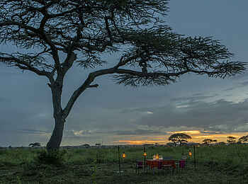 Serengeti Sametu Camp: Bush Dinning Serengeti Sametu Camp: Bush Dinning