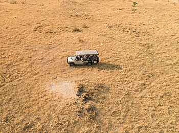 Shinde Lodge: Pirschfahrt mit Löwensichtung Shinde Lodge: Pirschfahrt mit Löwensichtung