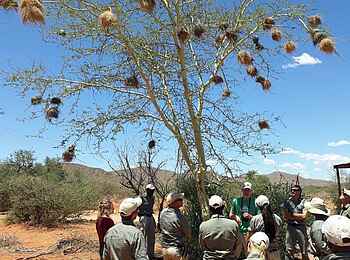 Tswalu Tarkuni Homestead: Besprechung Tswalu Tarkuni Homestead: Besprechung