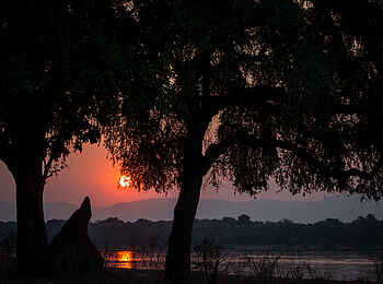 Chikwenya Camp: Sonnenuntergang