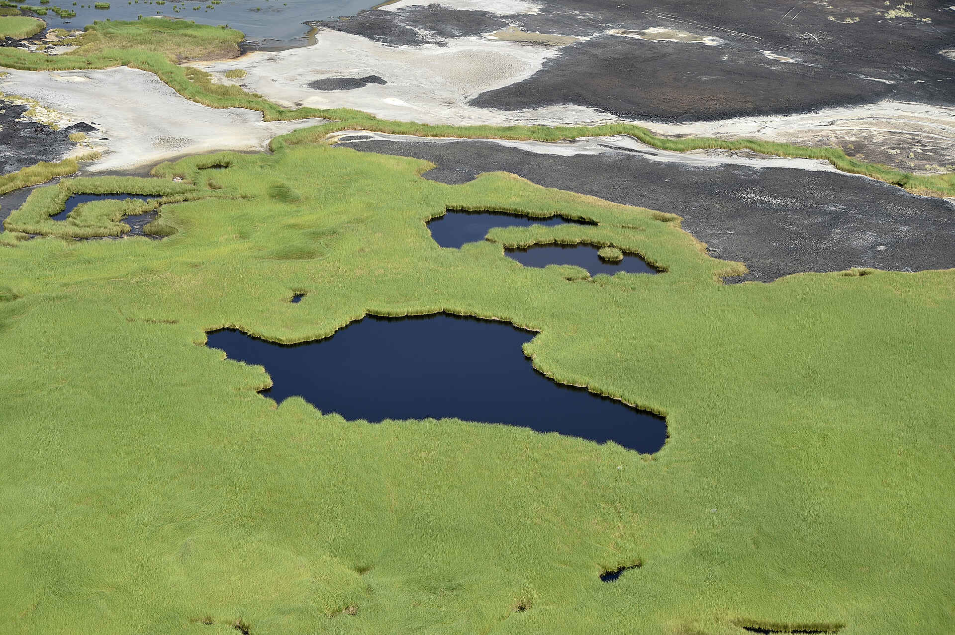 Koros Camp: Luftaufnahme der Landschaft Koros Camp: Luftaufnahme der Landschaft