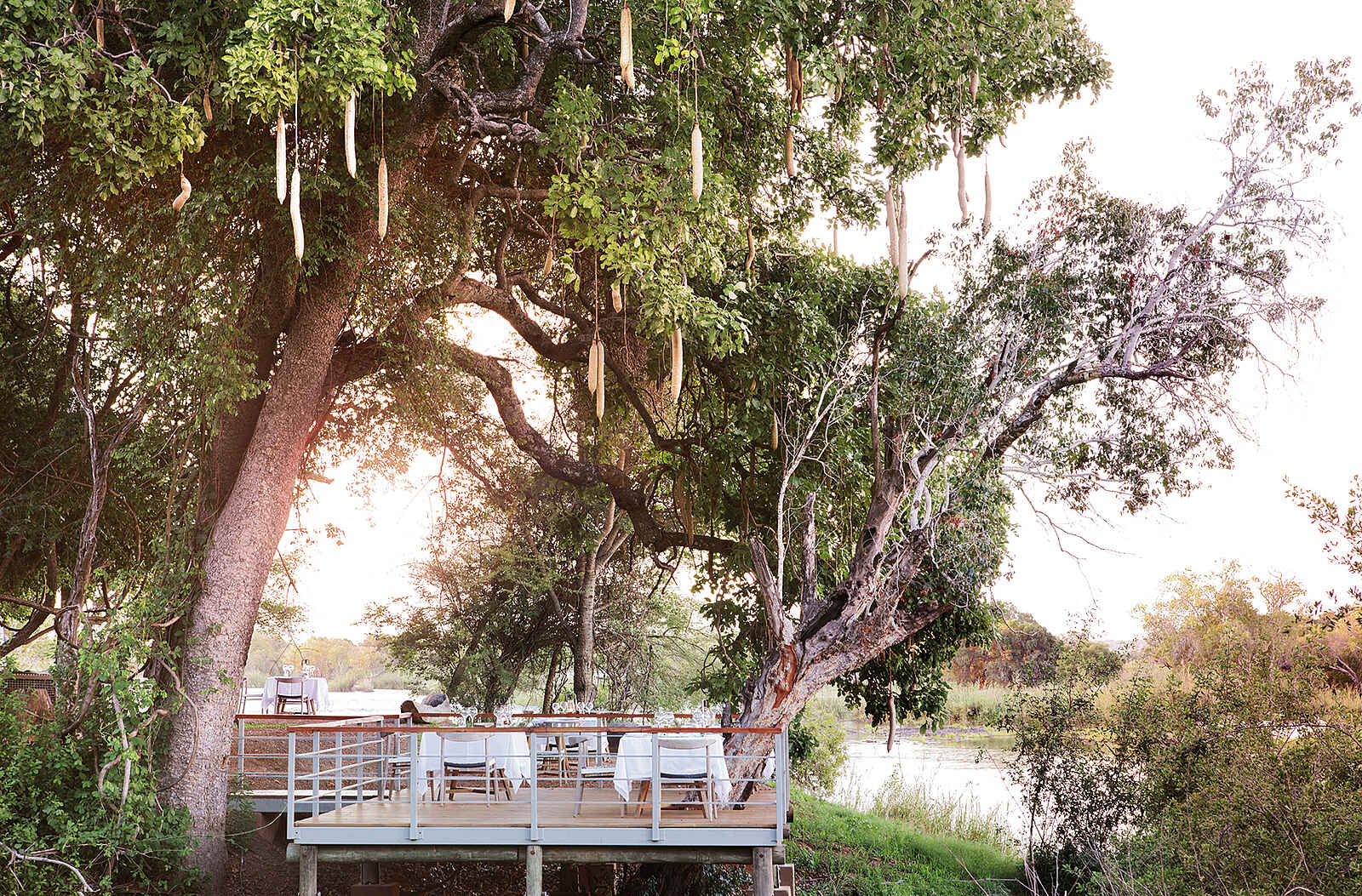 Matetsi Victoria Falls: Abendessen auf dem Holzdeck Matetsi Victoria Falls: Abendessen auf dem Holzdeck