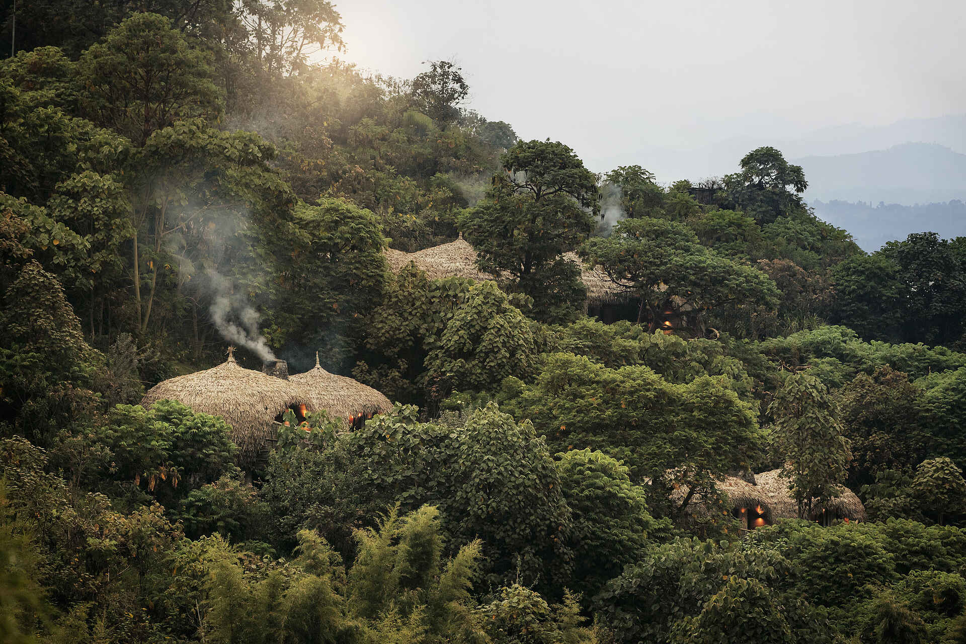 Bisate Lodge: Anlage Bisate Lodge: Anlage