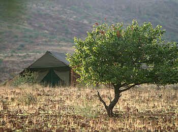 Etendeka Mountain Camp: Zelt Etendeka Mountain Camp: Zelt