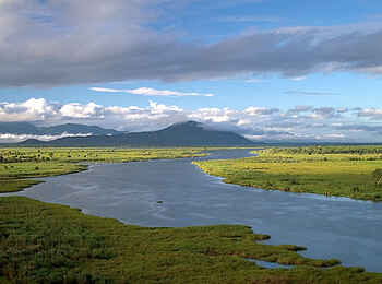 Mvuu Camp: Der Shire River