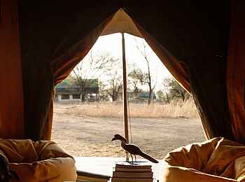 Serian Serengeti Mobile Camp: Lounge