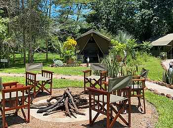 The Woodlands Camp: Feuerstelle