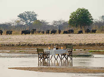 Zungulila Bushcamp: Dinner im Flussbett Zungulila Bushcamp: Dinner im Flussbett