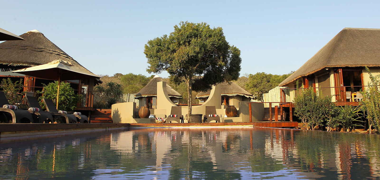 Thanda Tented Camp: Blick vom Pool Thanda Tented Camp: Blick vom Pool