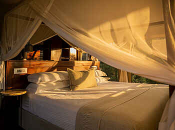 Fothergill Island Luxury Camp: Island Suite Bett