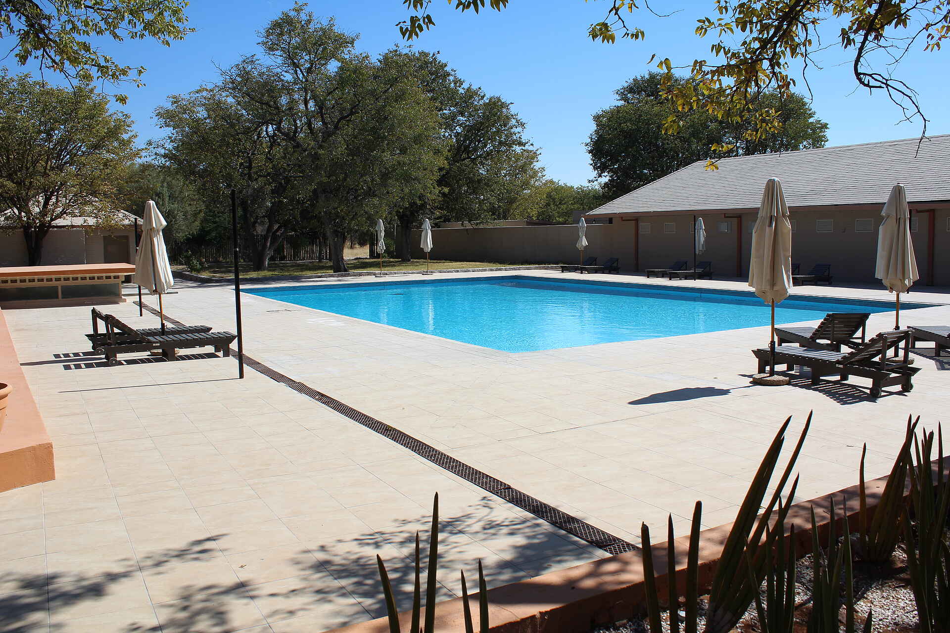 Etosha, Etosha National Park, Etoshapfanne, Halali, Salzpfanne, Swimming Pool, afrikarma, afrikarma Safaris, afrikarma.de