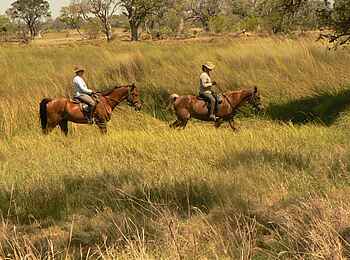 Kujwana Camp: Ritt durchs Gras