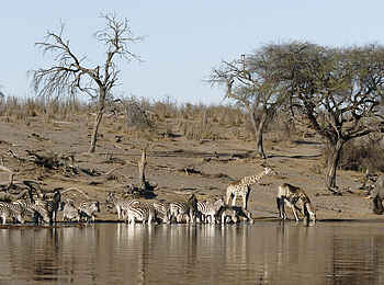 Meno a Kwena Camp: Am Fluss