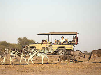 Meno a Kwena Camp: Pirschfahrt Meno a Kwena Camp: Pirschfahrt