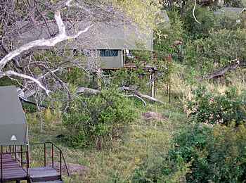 Nkasa Lupala Tented Lodge: Gästezelt zwischen alten Bäumen Nkasa Lupala Tented Lodge: Gästezelt zwischen alten Bäumen