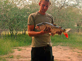 Selous Impala Camp: Gefangener Fisch