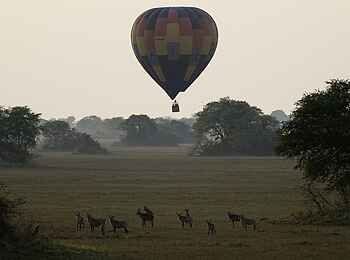 Shumba Camp: Ballonsafari Shumba Camp: Ballonsafari