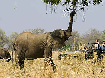 Tafika Camp: Pirschfahrt