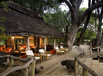 Xakanaxa Camp: Lounge