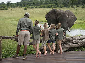 Somalisa Acacia Camp: Tierbesuch im Camp