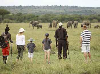 Kichwa Tembo Tented Camp: Elefantenfamilie voraus Kichwa Tembo Tented Camp: Elefantenfamilie voraus