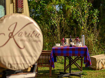 Ngorongoro Lions Paw Camp: bush dinning