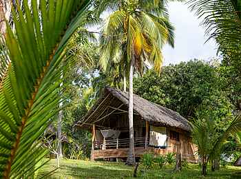Pole Pole Bungalows: Außenansicht Bungalow