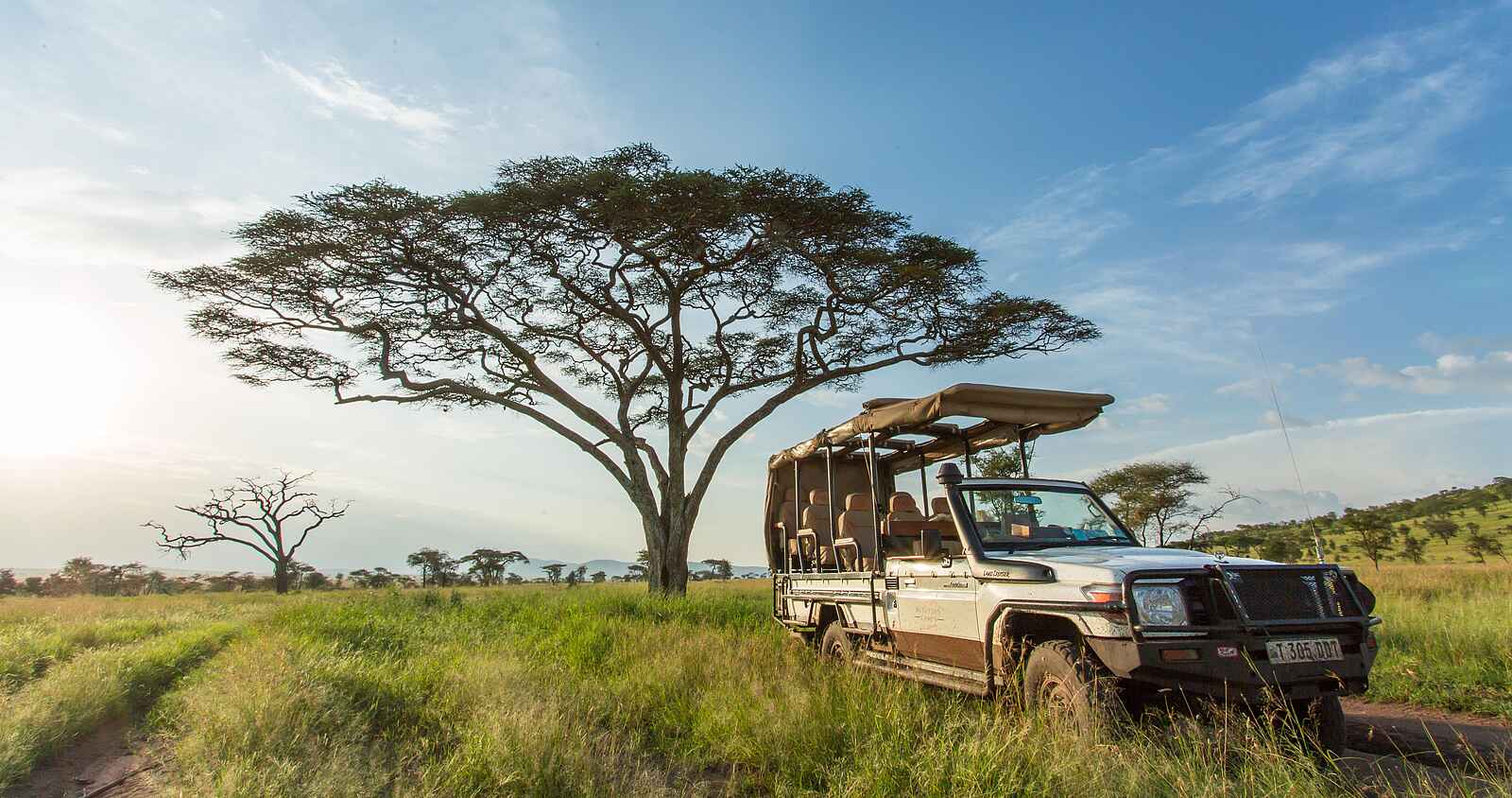 Roving Bushtops Camp: Safarifahrzeug Roving Bushtops Camp: Safarifahrzeug