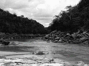 Sand Rivers Selous: Fischen