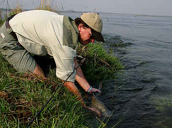 Sausage Tree Camp: Angeln - Catch and Release