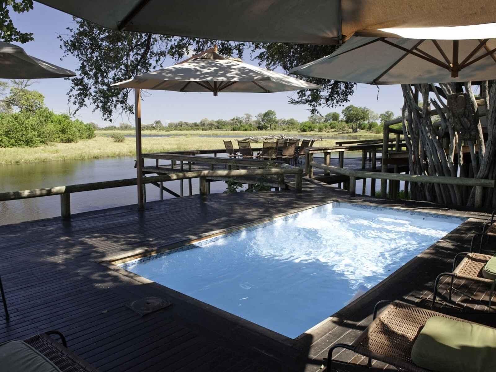Savuti Camp: Pool Savuti Camp: Pool