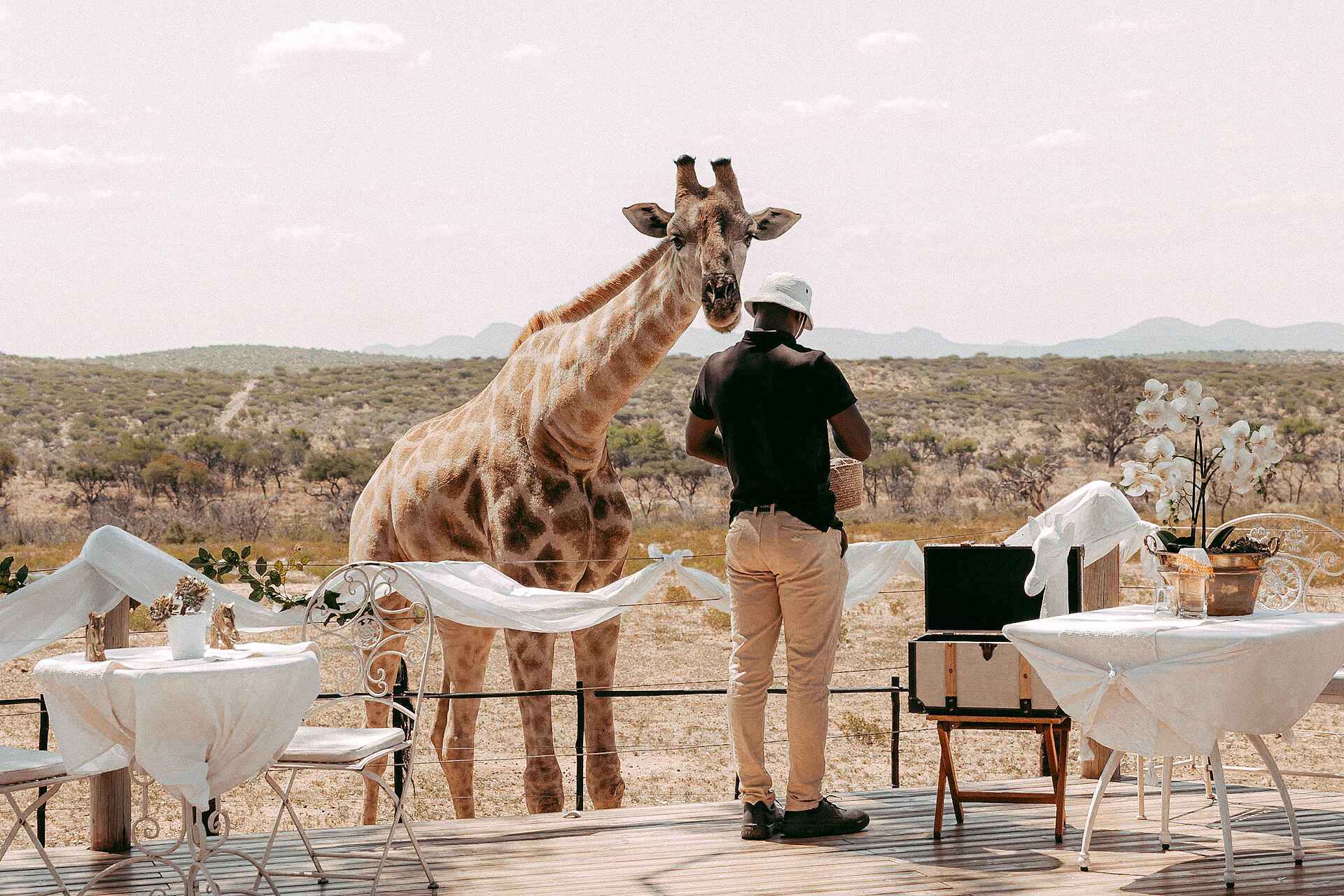 Voigtland Guesthouse: Giraffen füttern auf der Terrasse