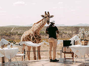 Voigtland Guesthouse: Giraffen füttern auf der Terrasse
