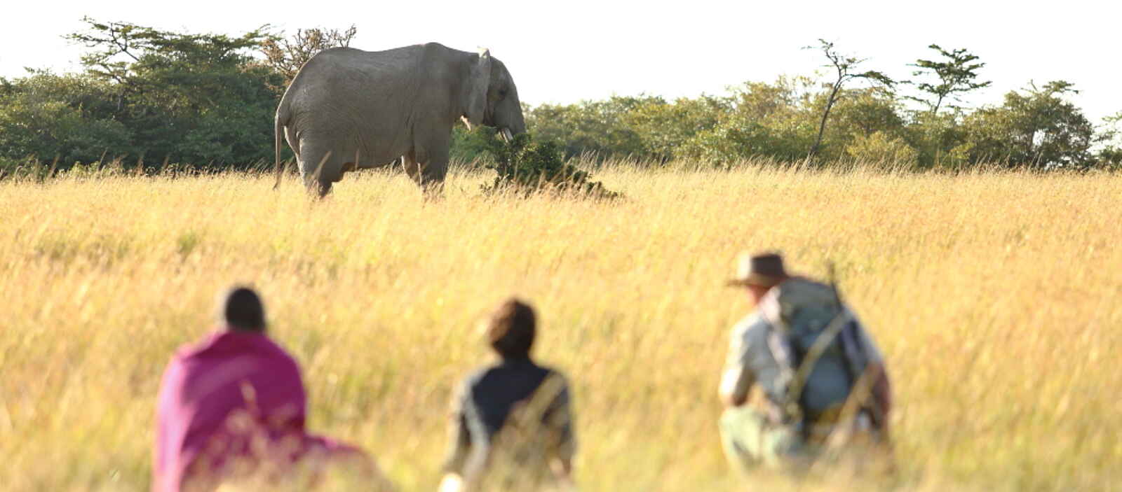 Naboisho Camp: Elefanten-Begegnung Naboisho Camp: Elefanten-Begegnung