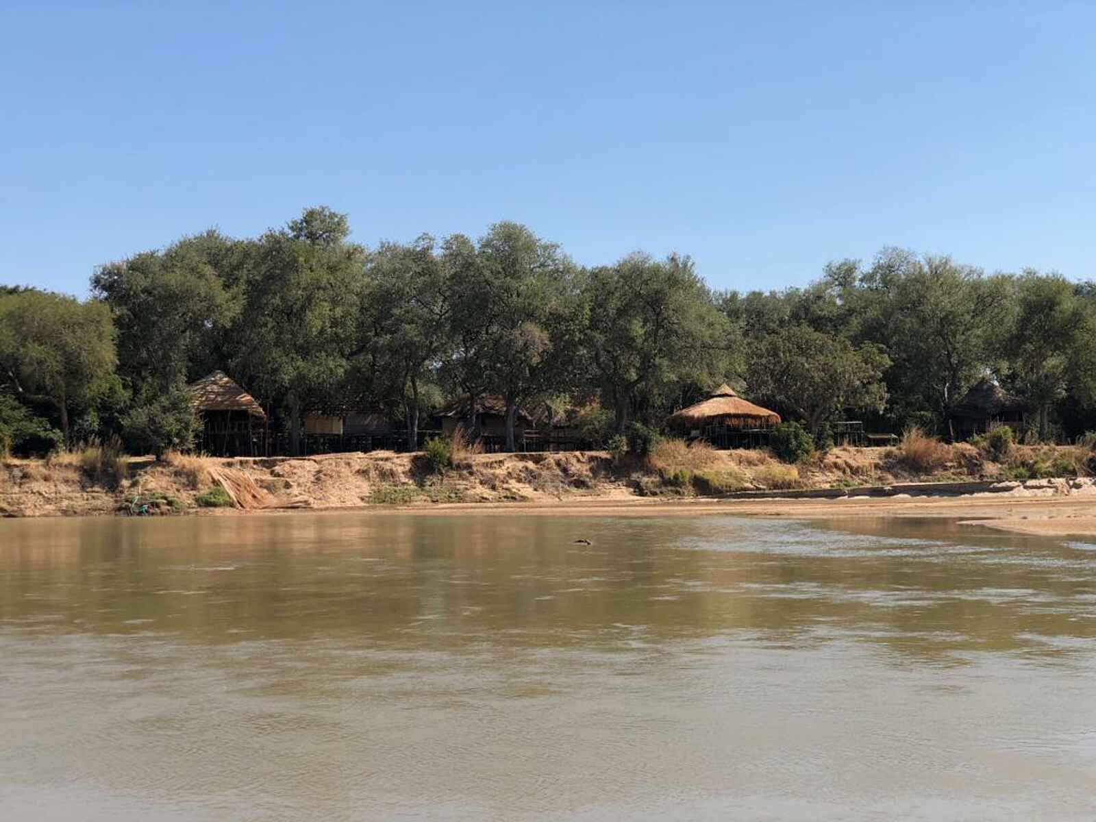 North Luangwa River Lodge and Camp: Uferlage North Luangwa River Lodge and Camp: Uferlage