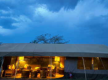 Porini Lion Camp: Ein Gästezelt von außen Porini Lion Camp: Ein Gästezelt von außen