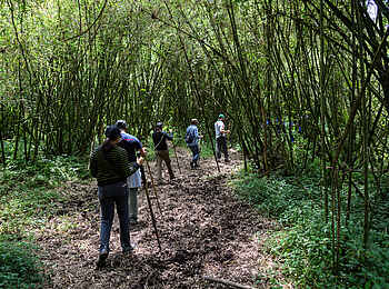 Bisate Lodge: Buschwanderung Bisate Lodge: Buschwanderung