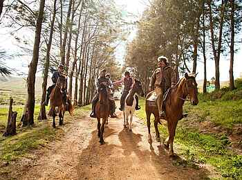 Delaire Graff Estate: Ein Reitausflug Delaire Graff Estate: Ein Reitausflug