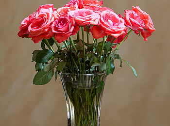 Hansa Hotel: Blumenvase